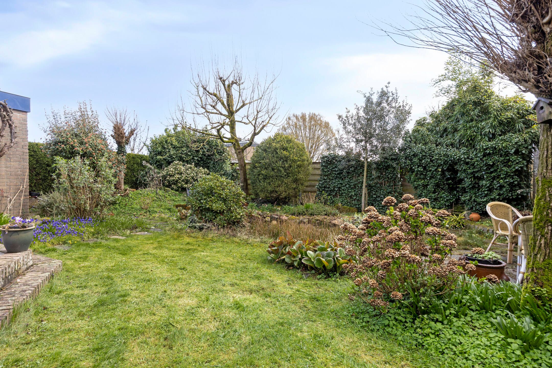 Foto 24 van Burgemeester Wijnandsstraat 4