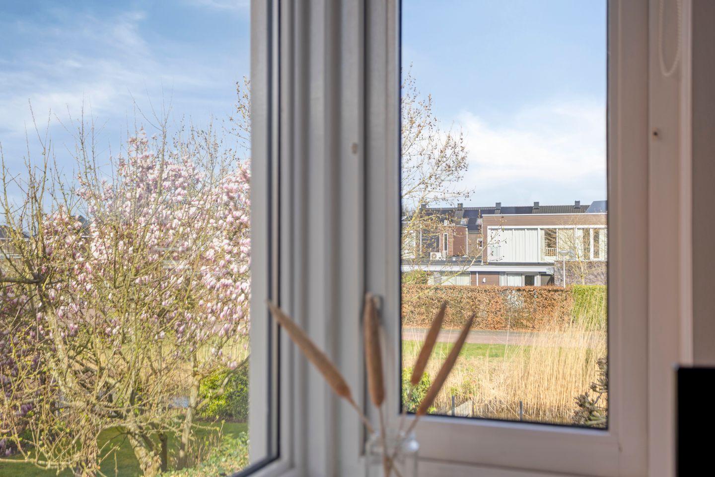 Foto 40 van Haverakker 48