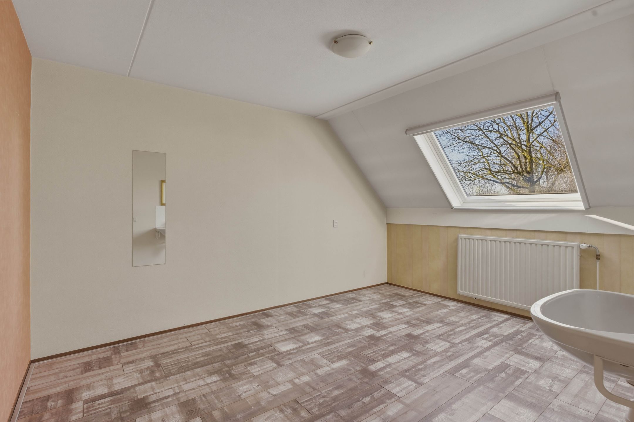 Photo 15 of Bereklauw 62