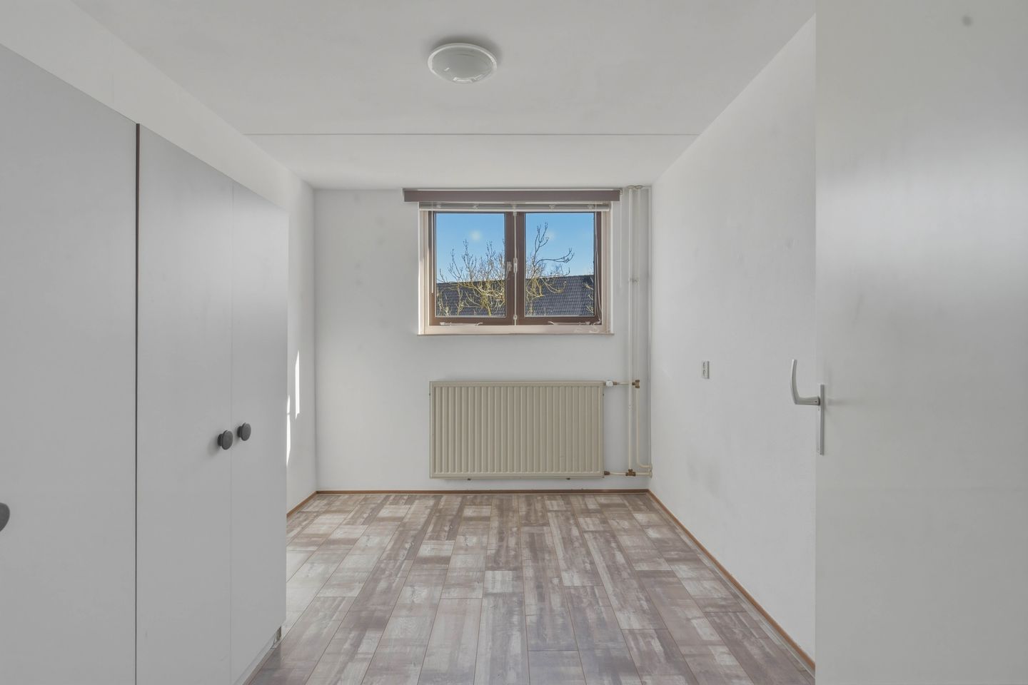 Photo 19 of Bereklauw 62