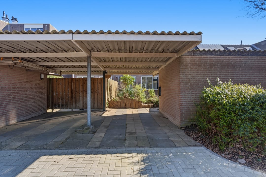 Photo 38 of Bereklauw 62