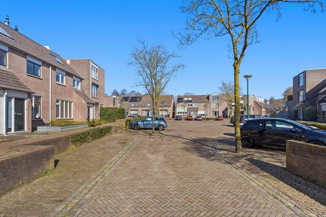 Photo 41 of Bereklauw 62