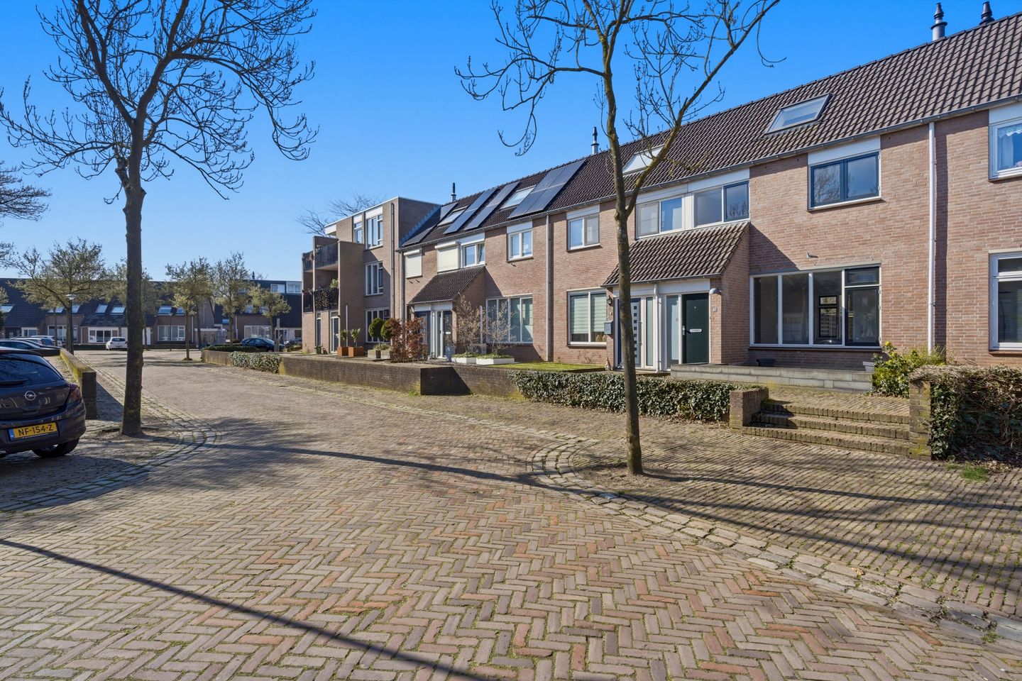 Photo 44 of Bereklauw 62