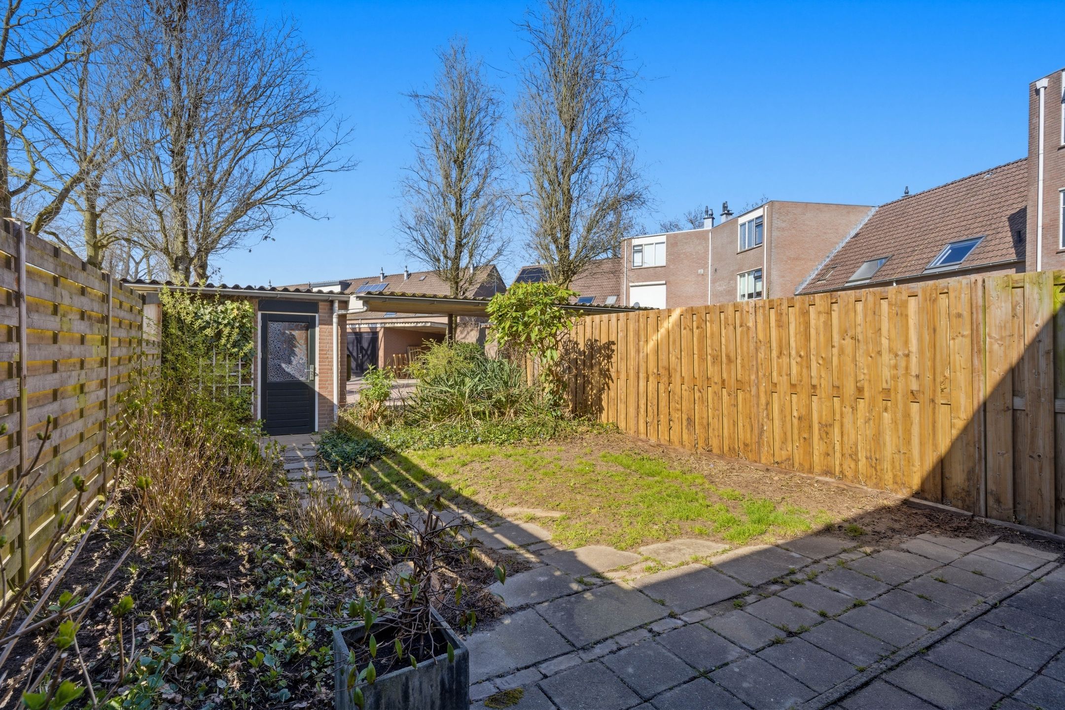 Photo 36 of Bereklauw 62