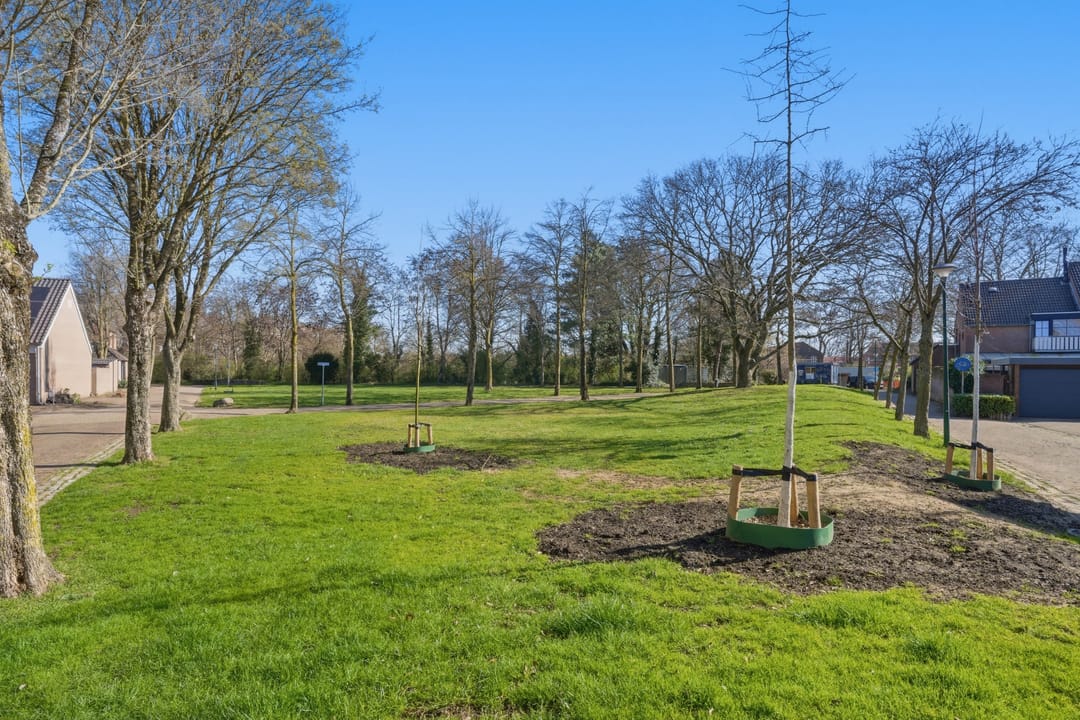 Photo 46 of Bereklauw 62