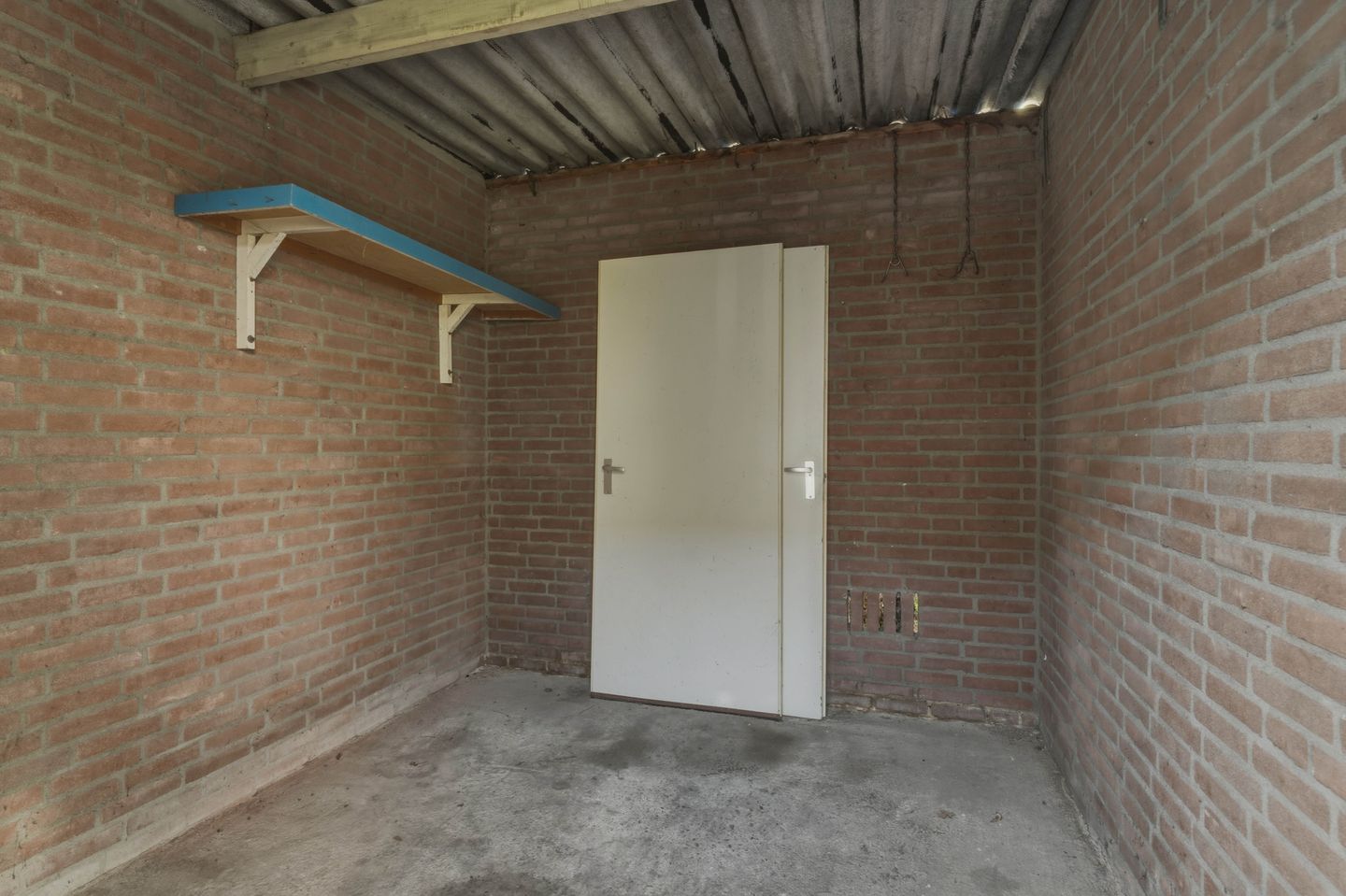 Photo 40 of Bereklauw 62