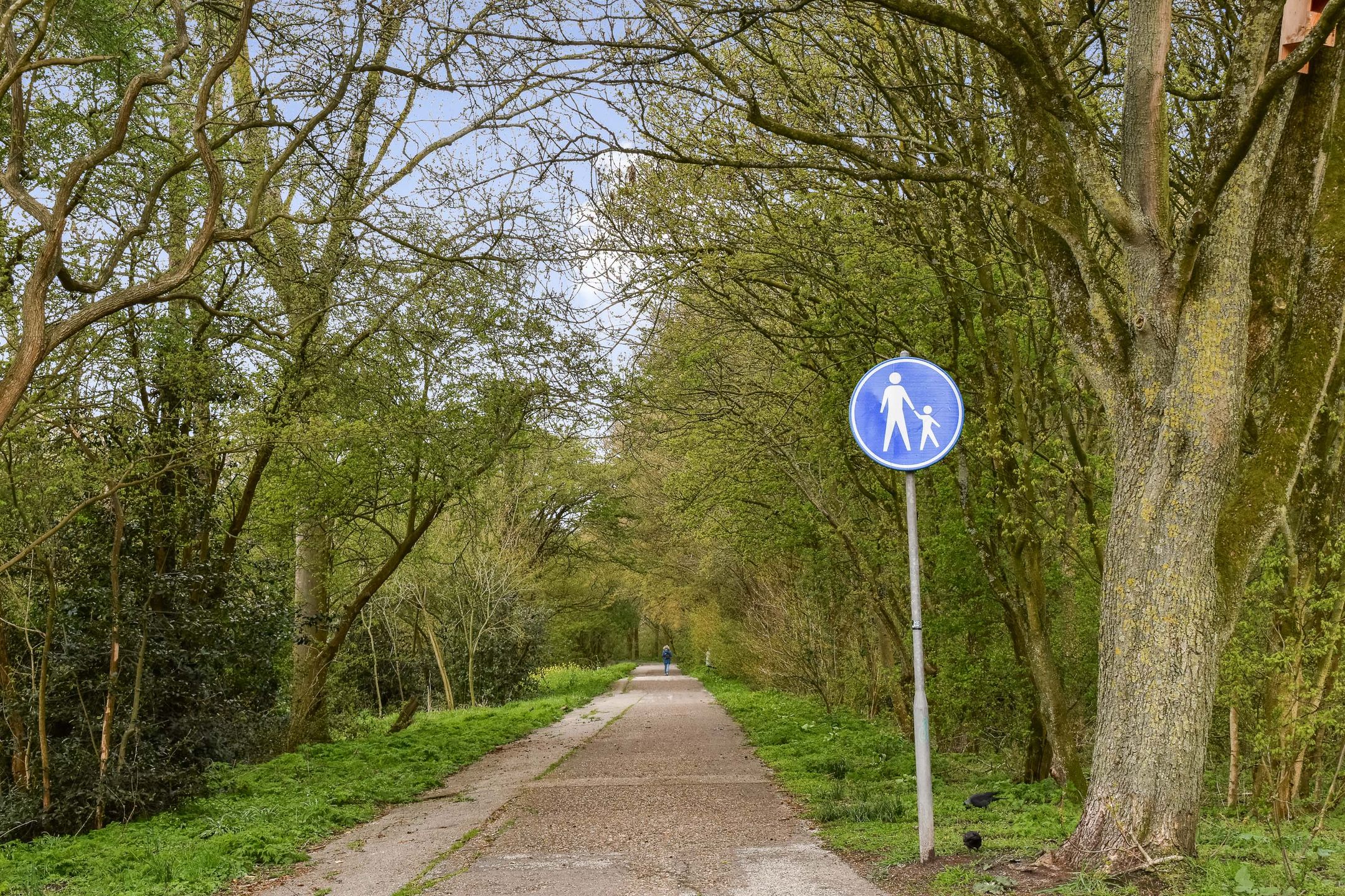 Foto 21 van Molengouw 20