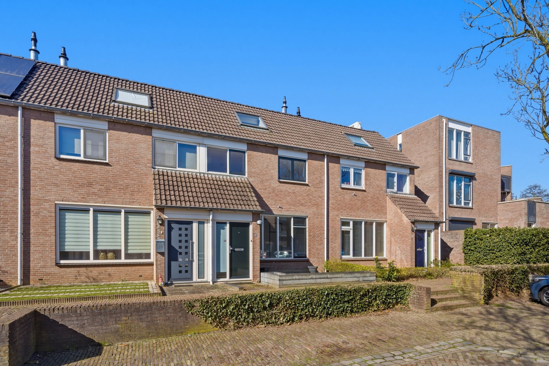 Photo 42 of Bereklauw 62