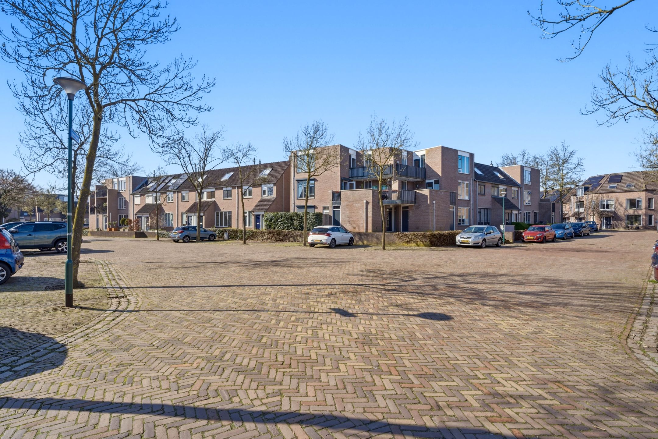 Photo 45 of Bereklauw 62