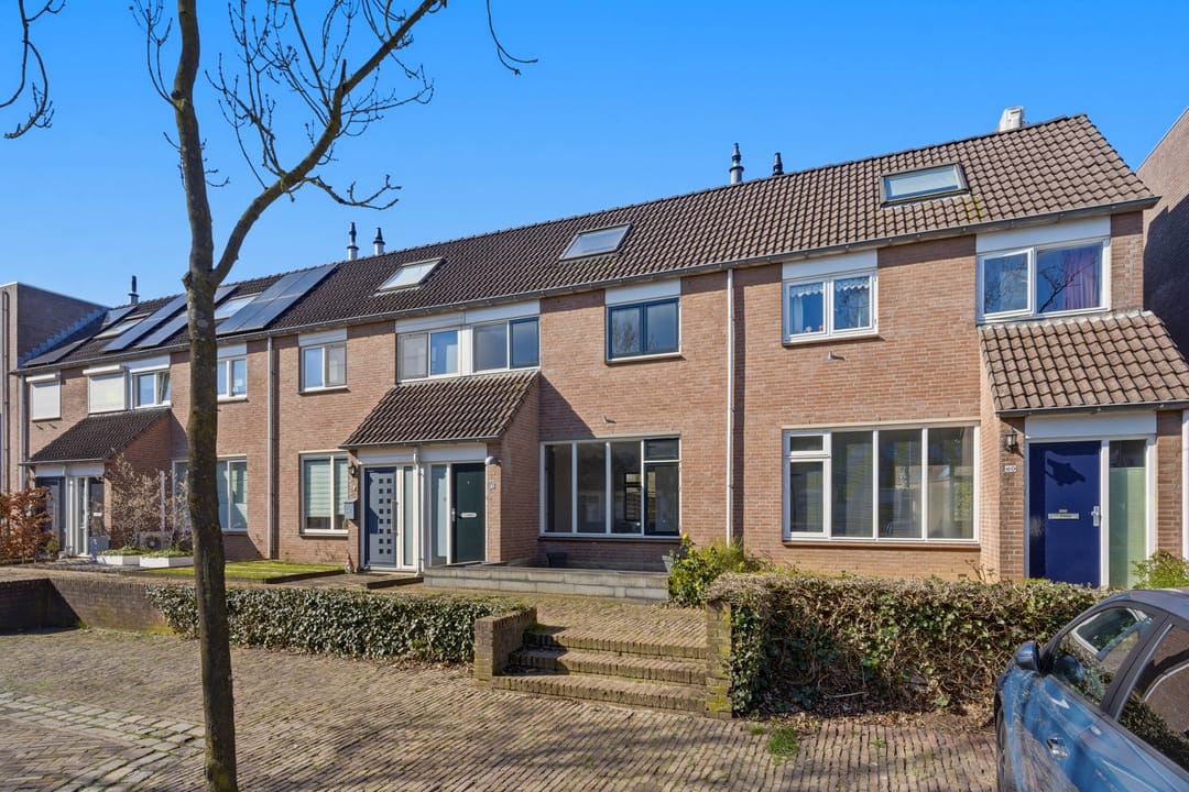 Photo 43 of Bereklauw 62