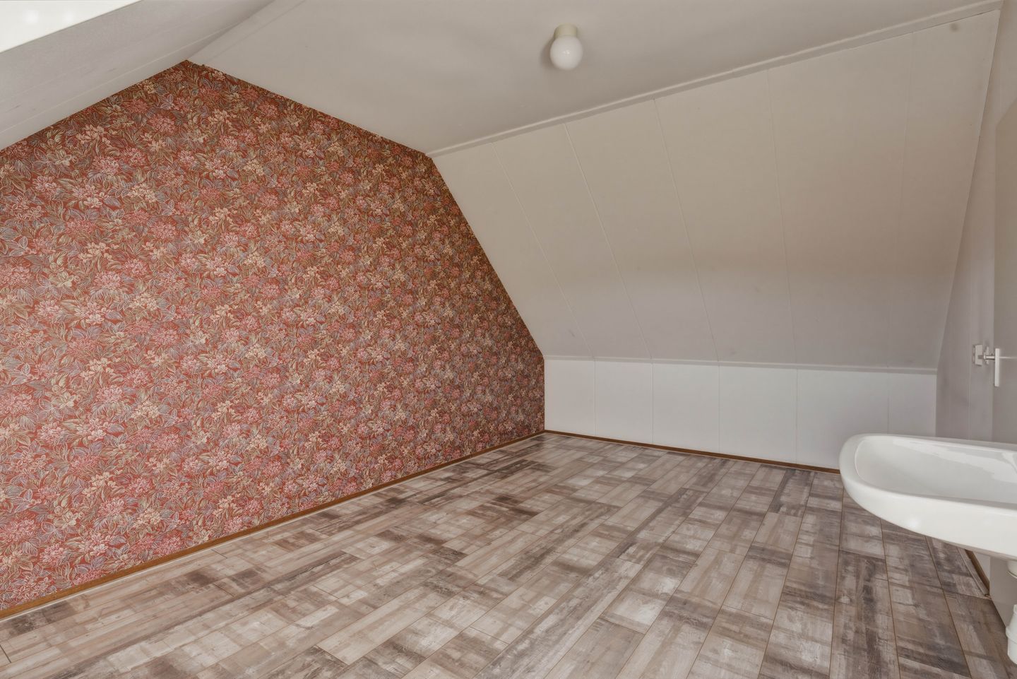 Photo 34 of Bereklauw 62