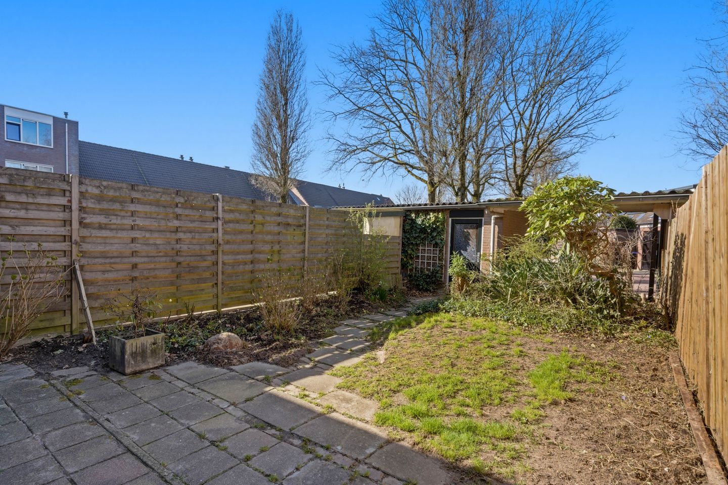 Photo 35 of Bereklauw 62