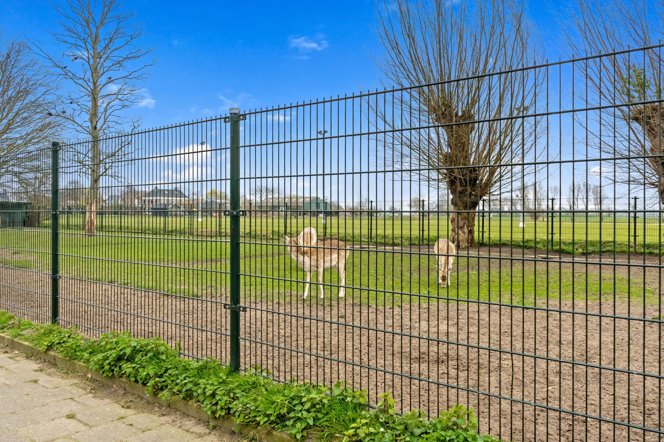 Foto 45 van Holierhoek 24