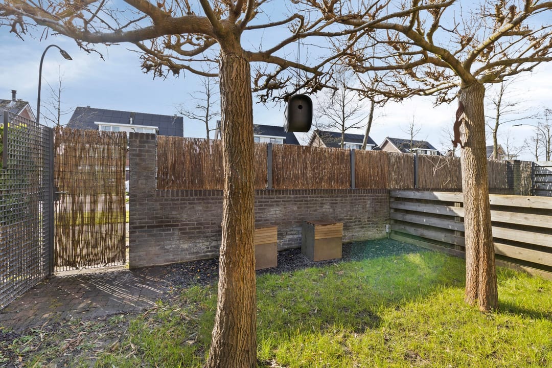 Foto 61 van de Vaart 38