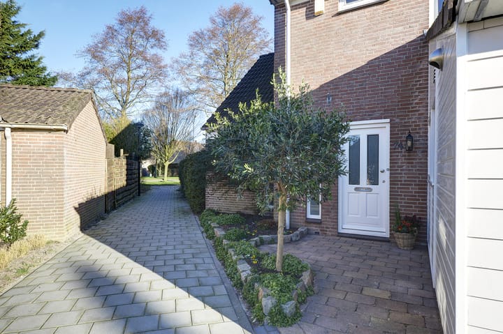 Photo 3 of Dinkel 74