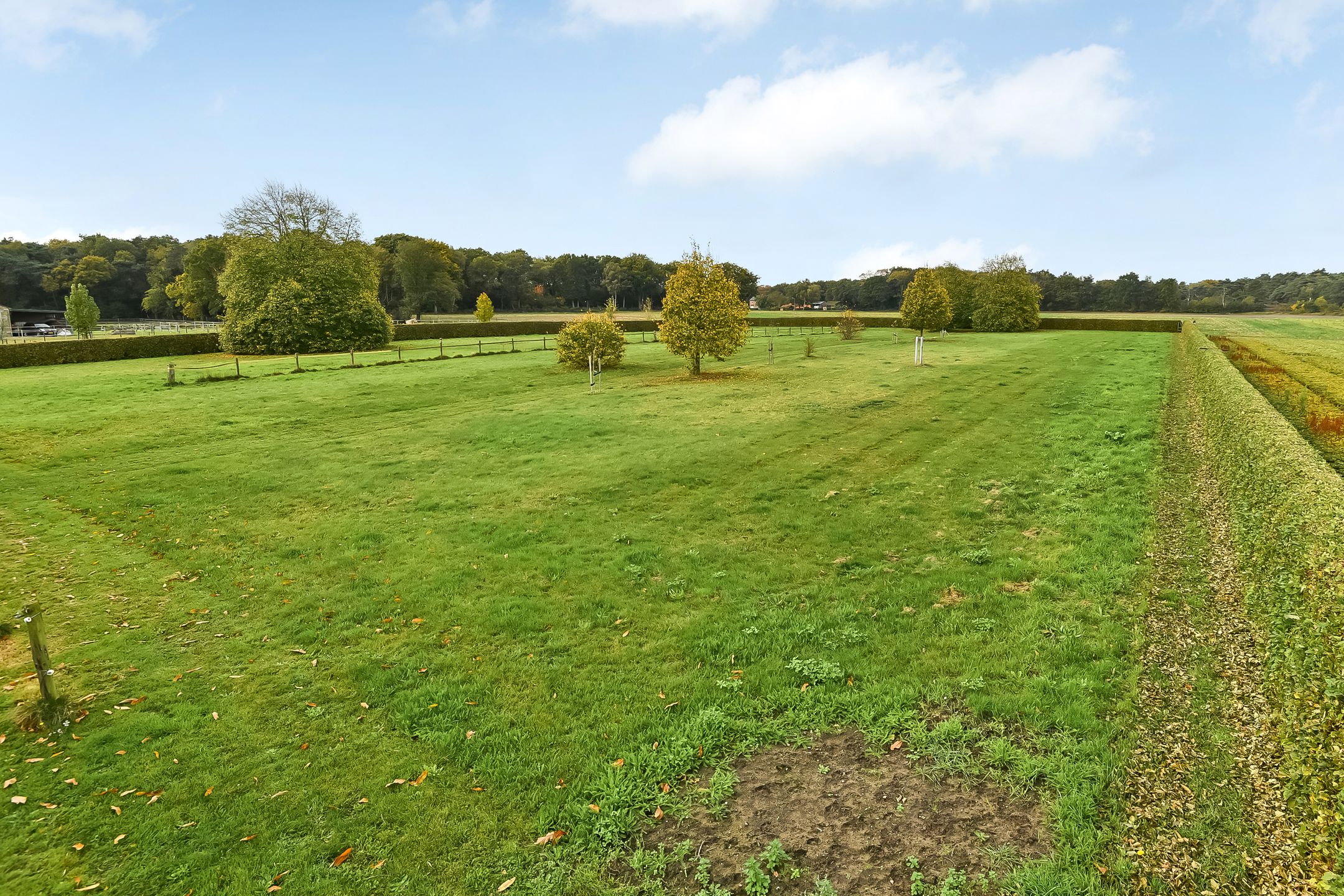 Foto 12 van Siebengewaldseweg 133