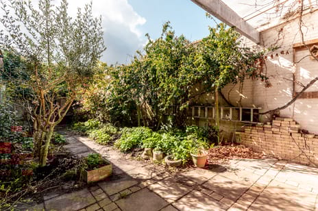 Twickel 36 tertiary image