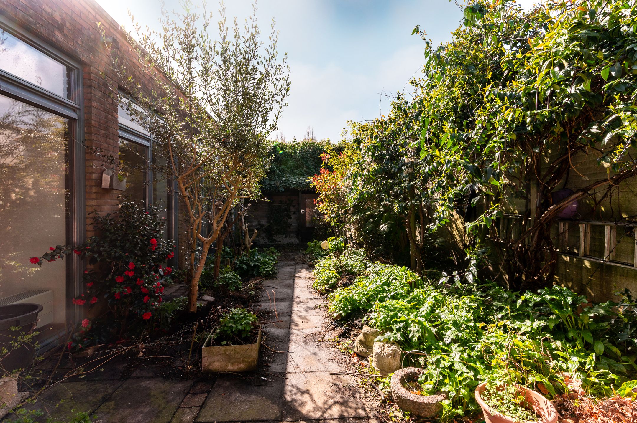 Foto 24 van Twickel 36