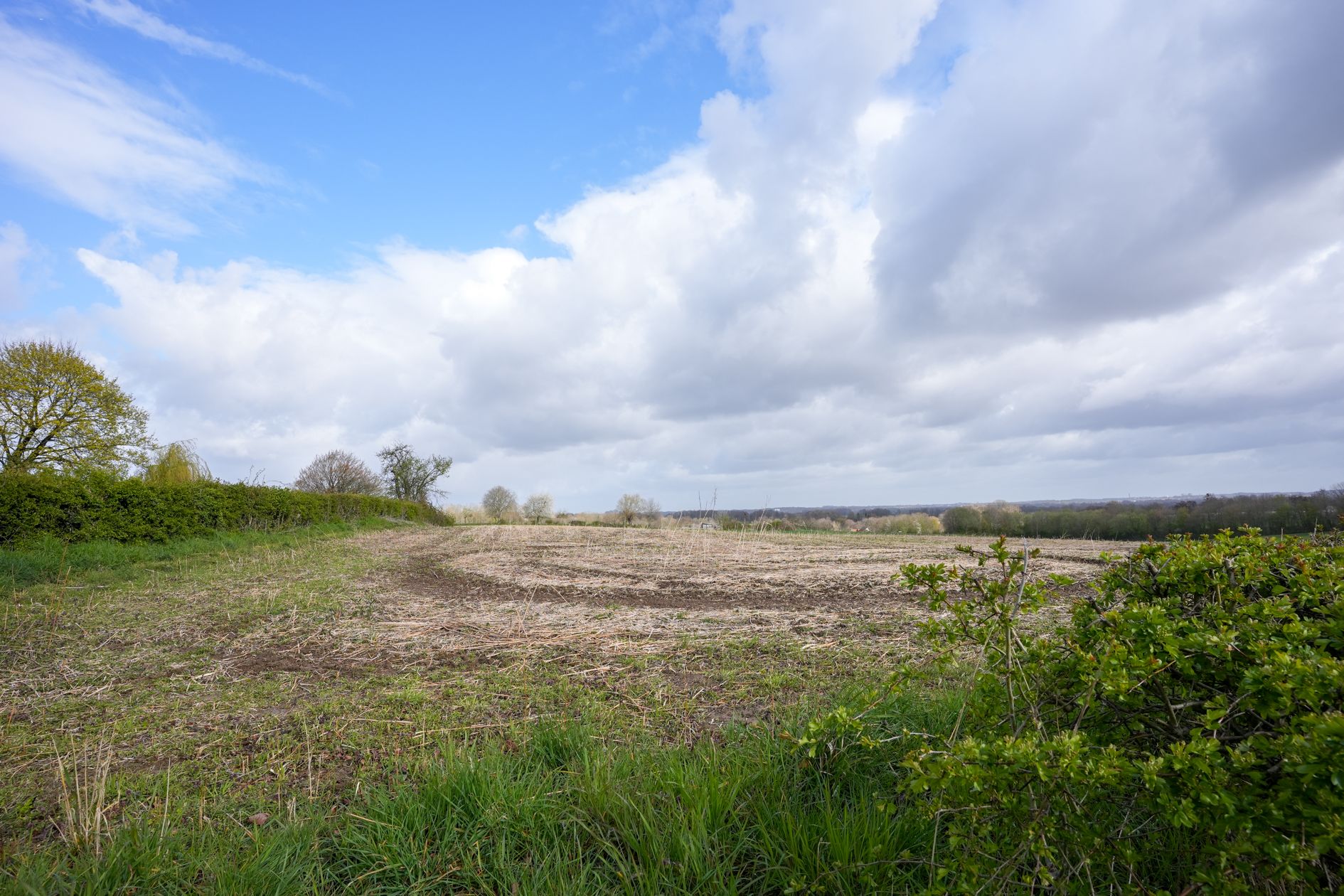 Foto 36 van Mareheiweg 37