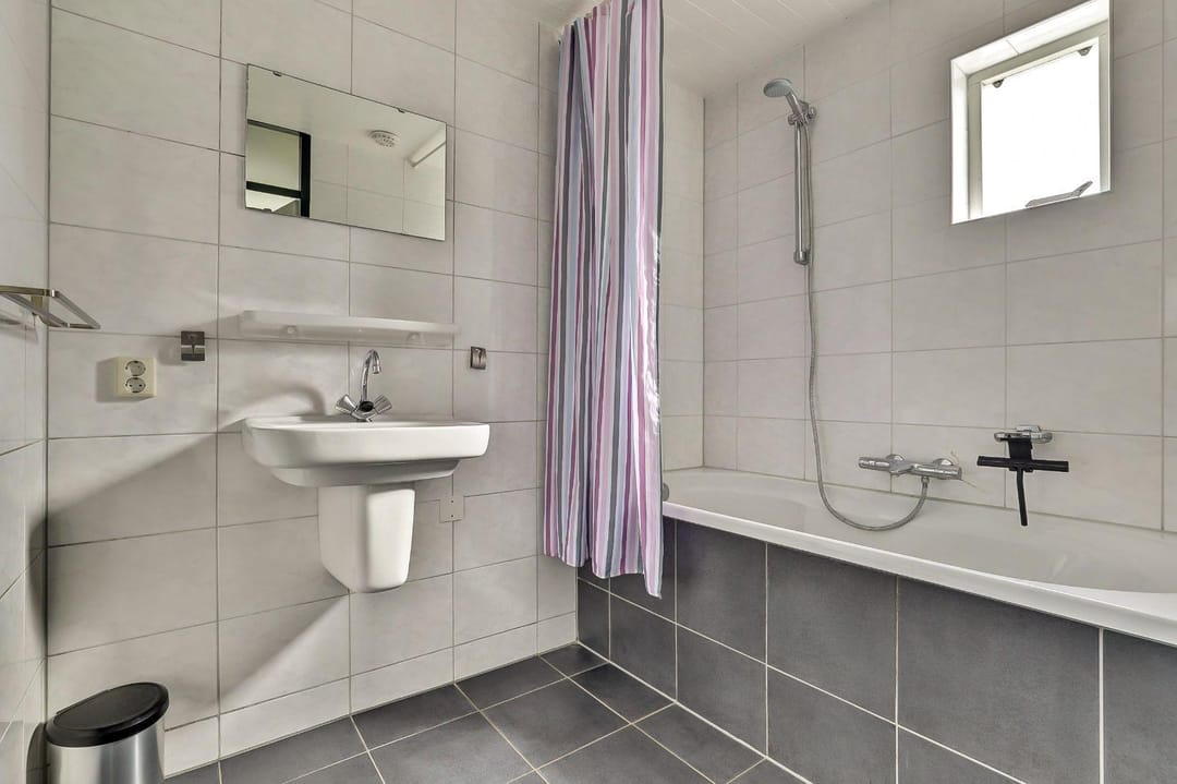 Foto 13 van Pholas 12