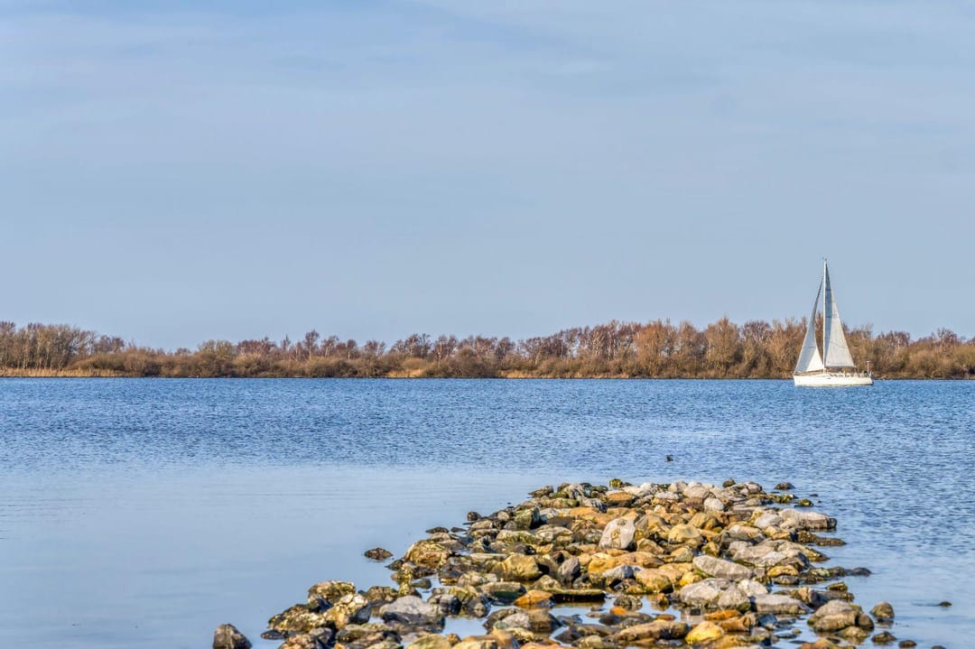 Foto 31 van Pholas 12