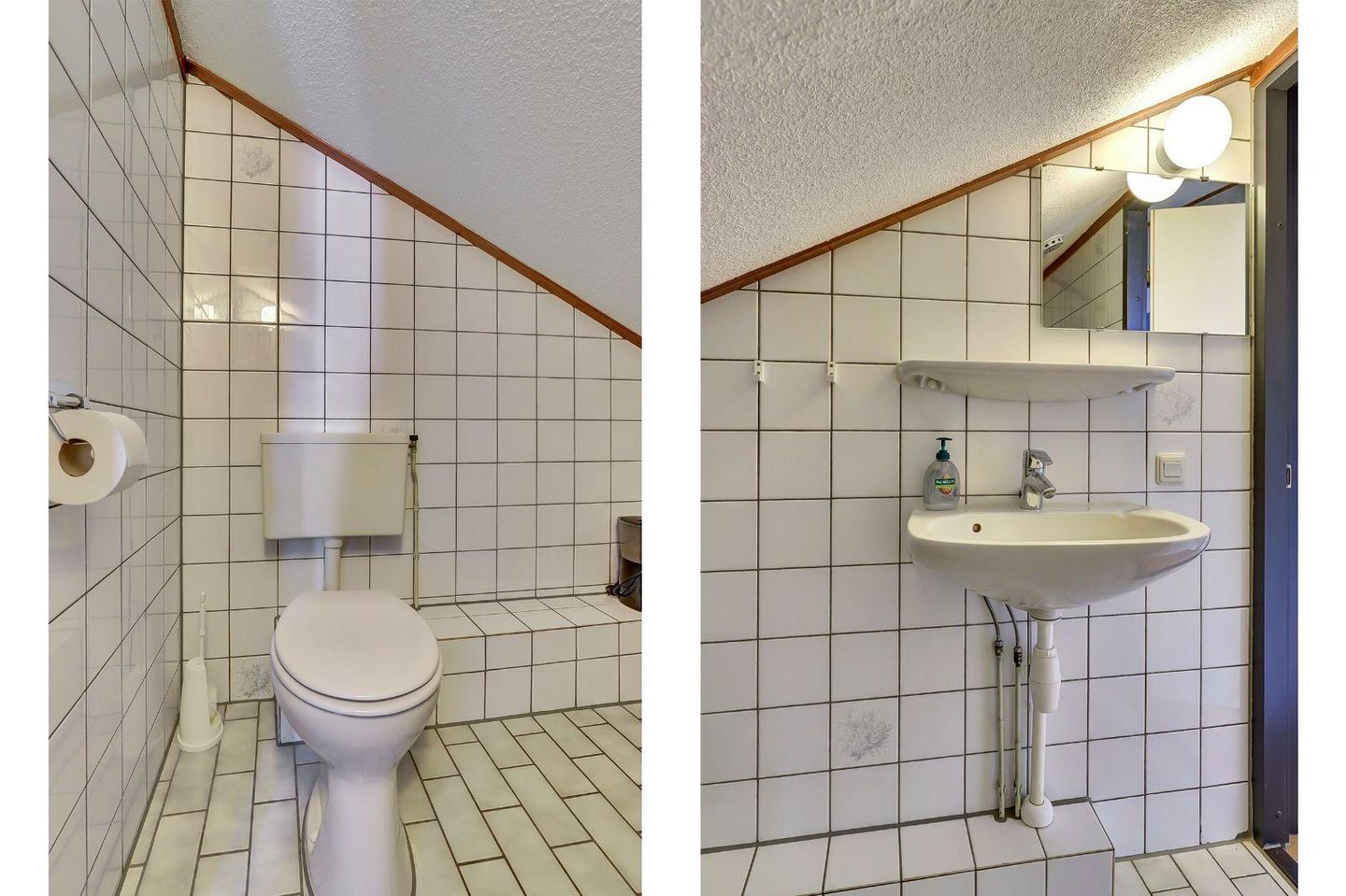 Foto 20 van Pholas 12