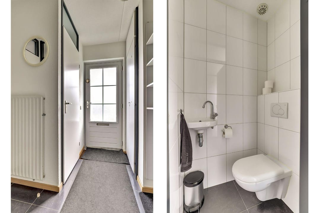 Foto 2 van Pholas 12