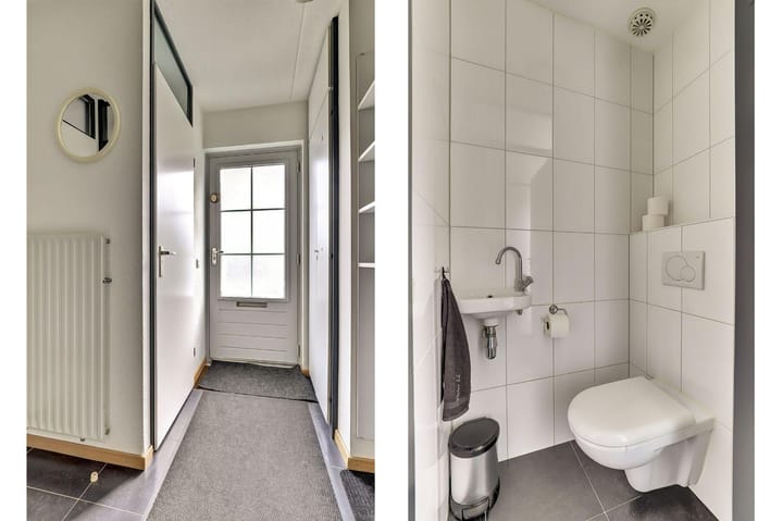 Foto 2 van Pholas 12