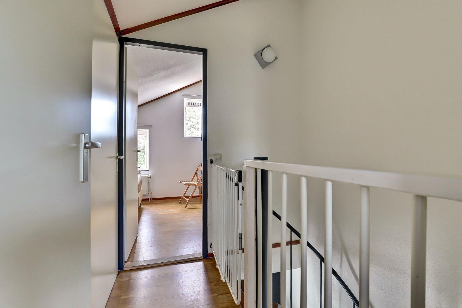 Foto 15 van Pholas 12