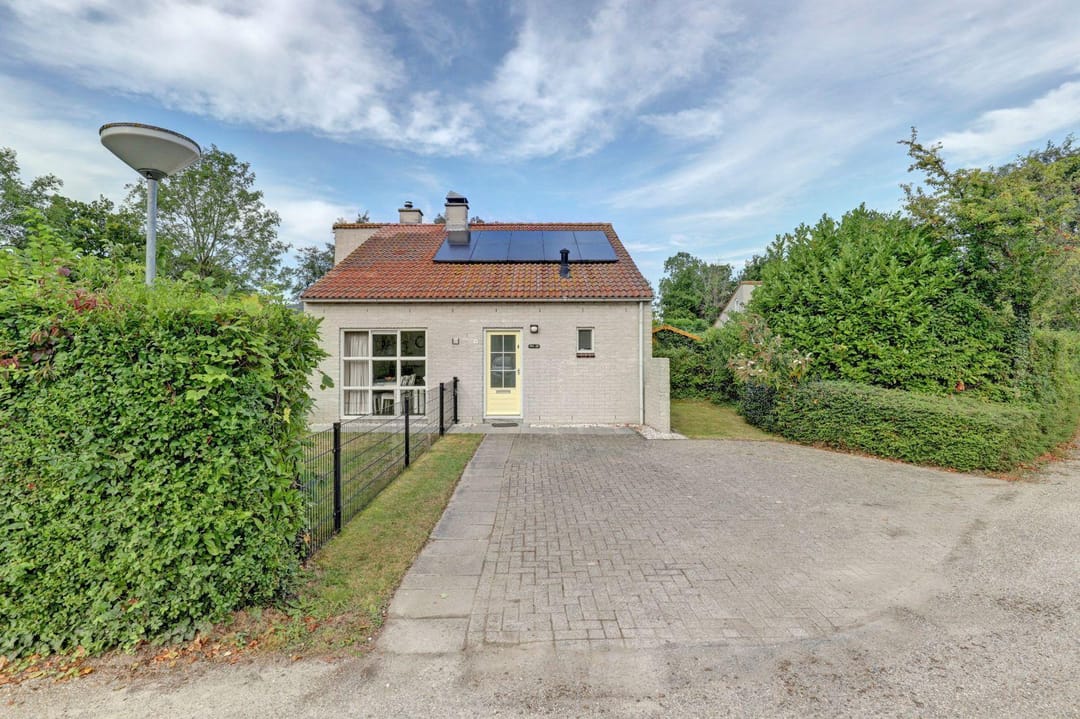 Foto 26 van Pholas 12