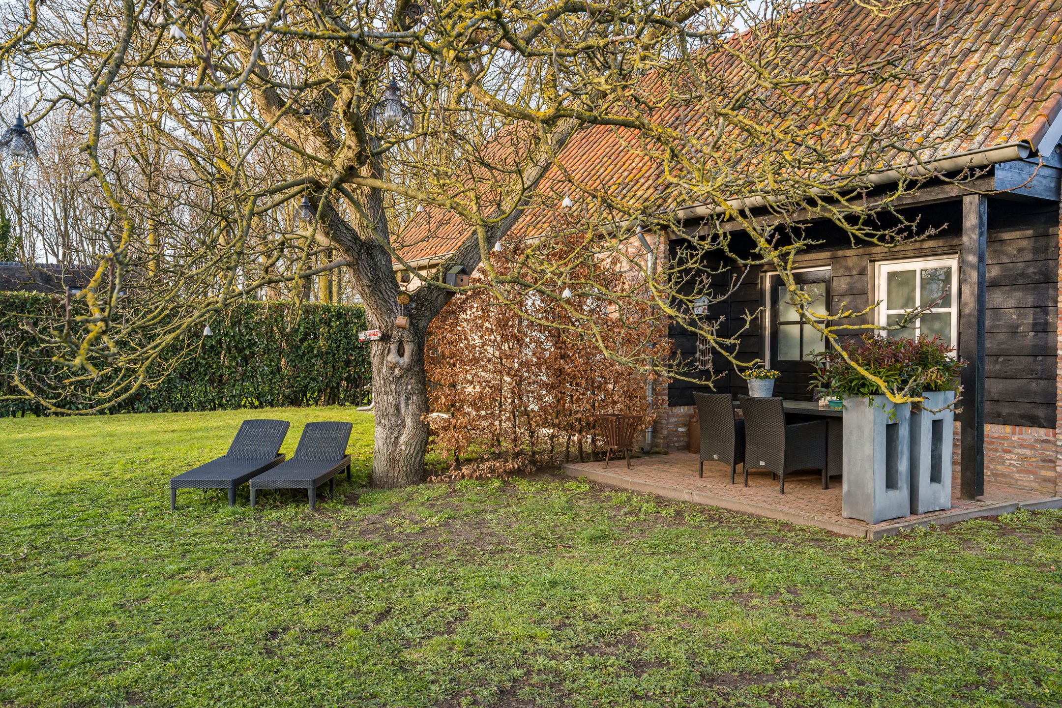 Luxury Farmhouse with B&B and Care Potential in Rural Made — 57