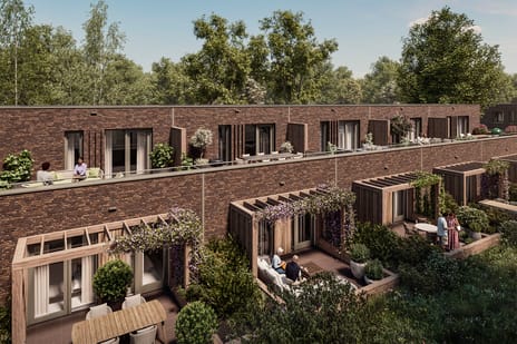 Bosryk - Elzenwilde thumbnail