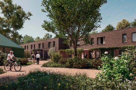 Bosryk - Kreeklicht thumbnail