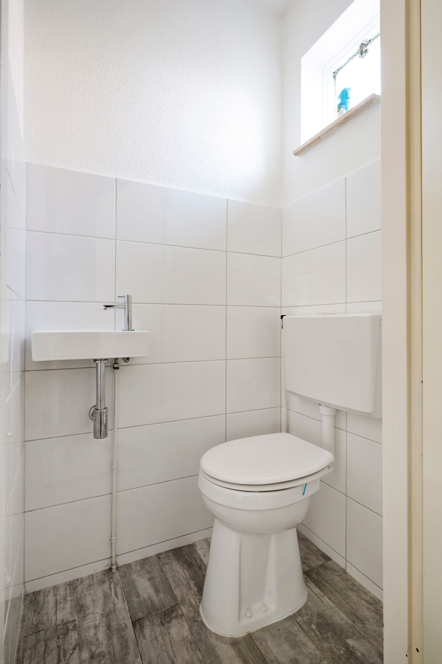 Foto 4 van Dassenburcht 25