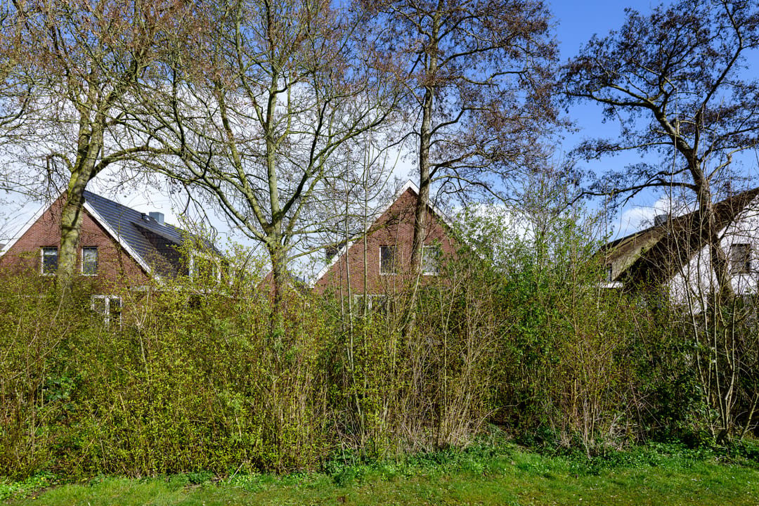 Untitled — 24