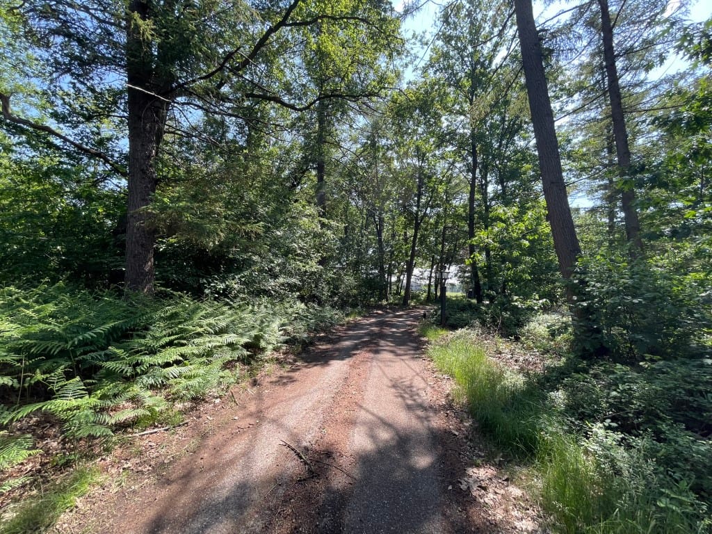 Foto 5 van Renheide 2