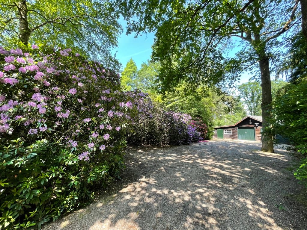 Foto 8 van Renheide 2