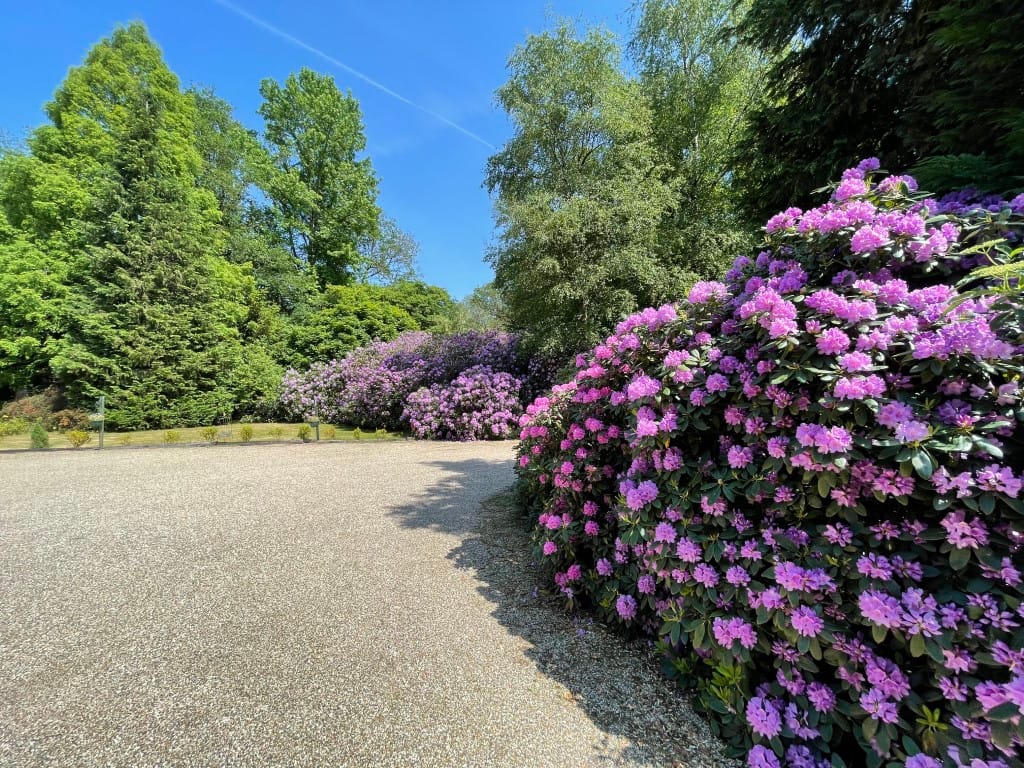 Foto 13 van Renheide 2