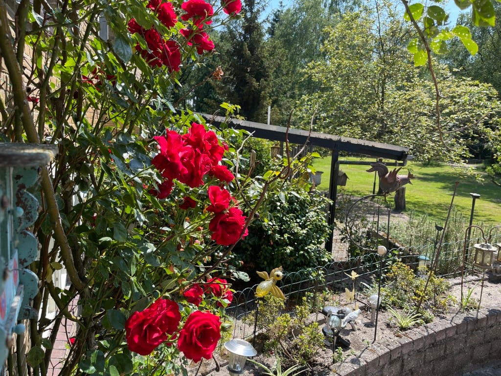 Foto 24 van Renheide 2