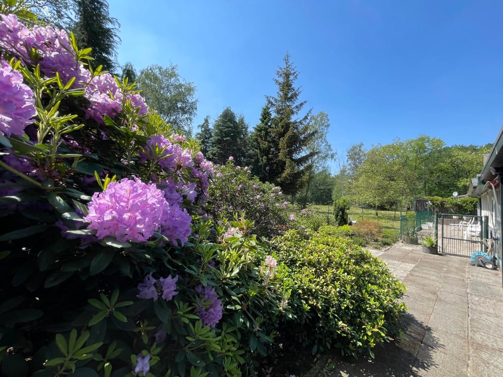 Foto 28 van Renheide 2