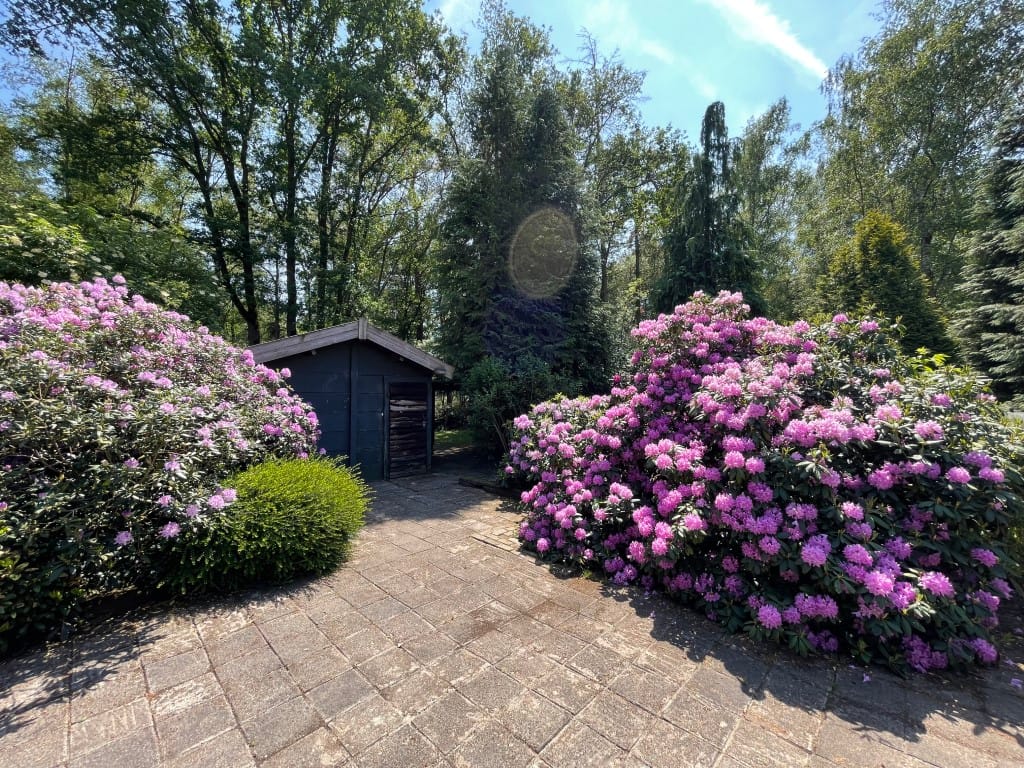 Foto 29 van Renheide 2