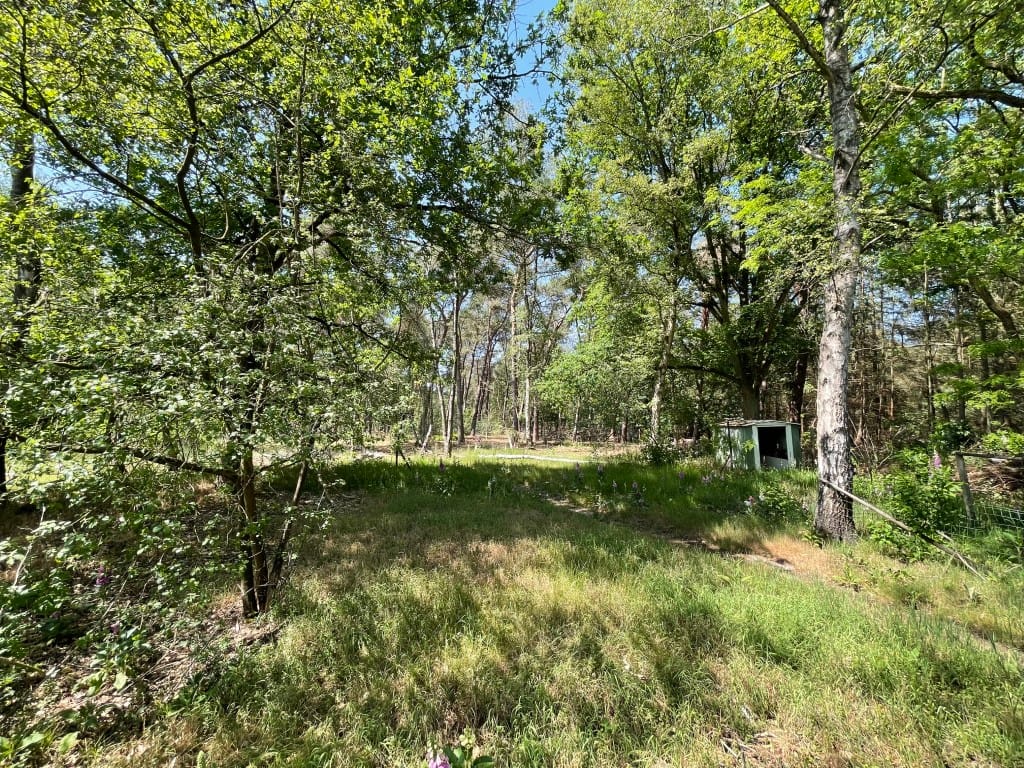 Foto 47 van Renheide 2