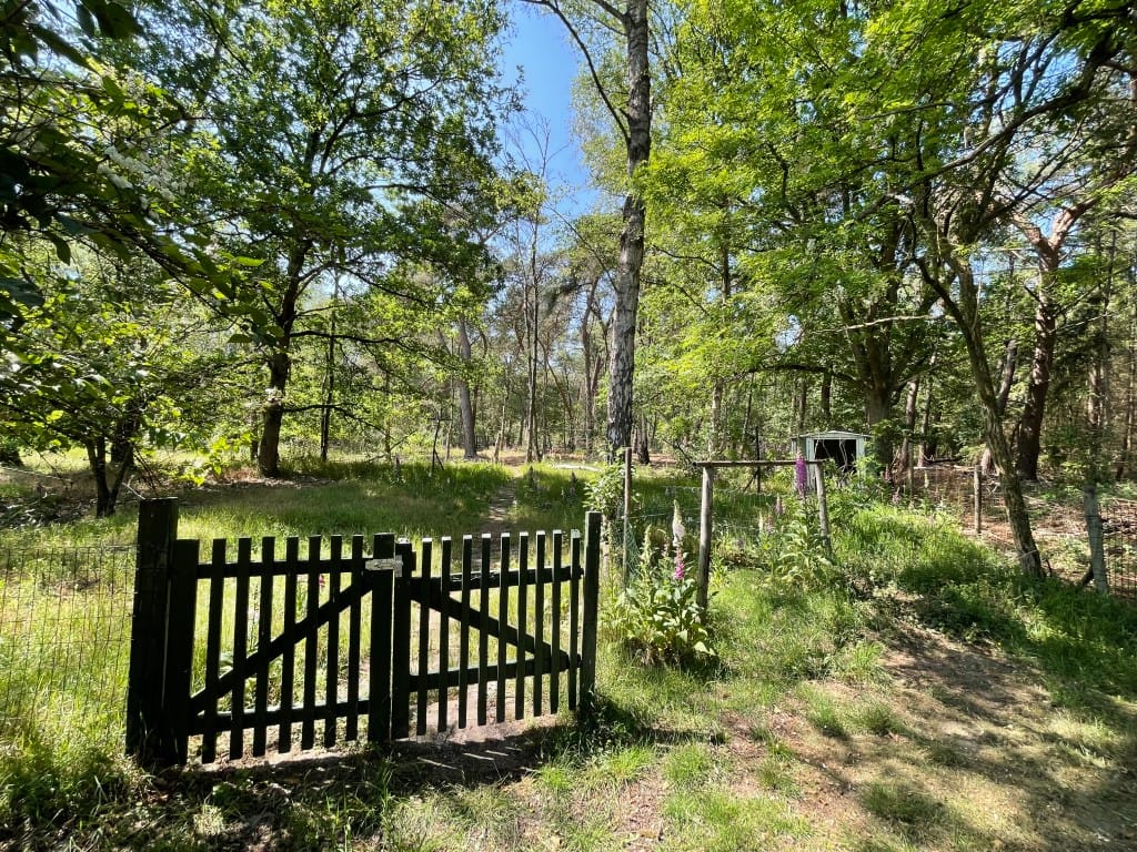 Foto 48 van Renheide 2