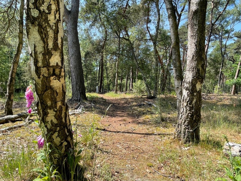 Foto 51 van Renheide 2