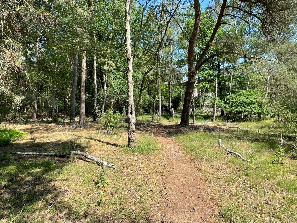 Foto 52 van Renheide 2