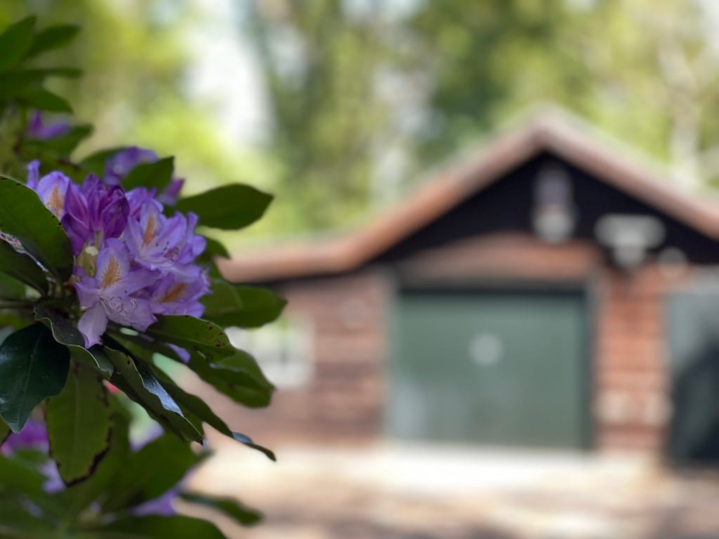 Foto 10 van Renheide 2