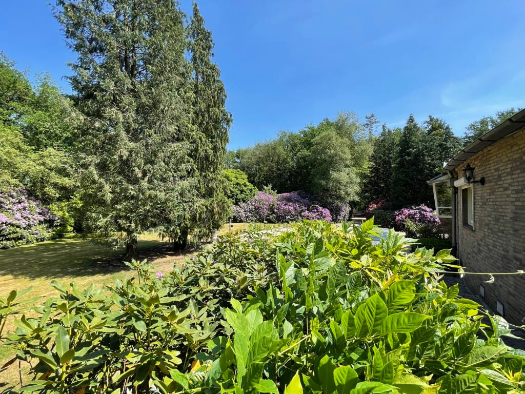 Foto 14 van Renheide 2