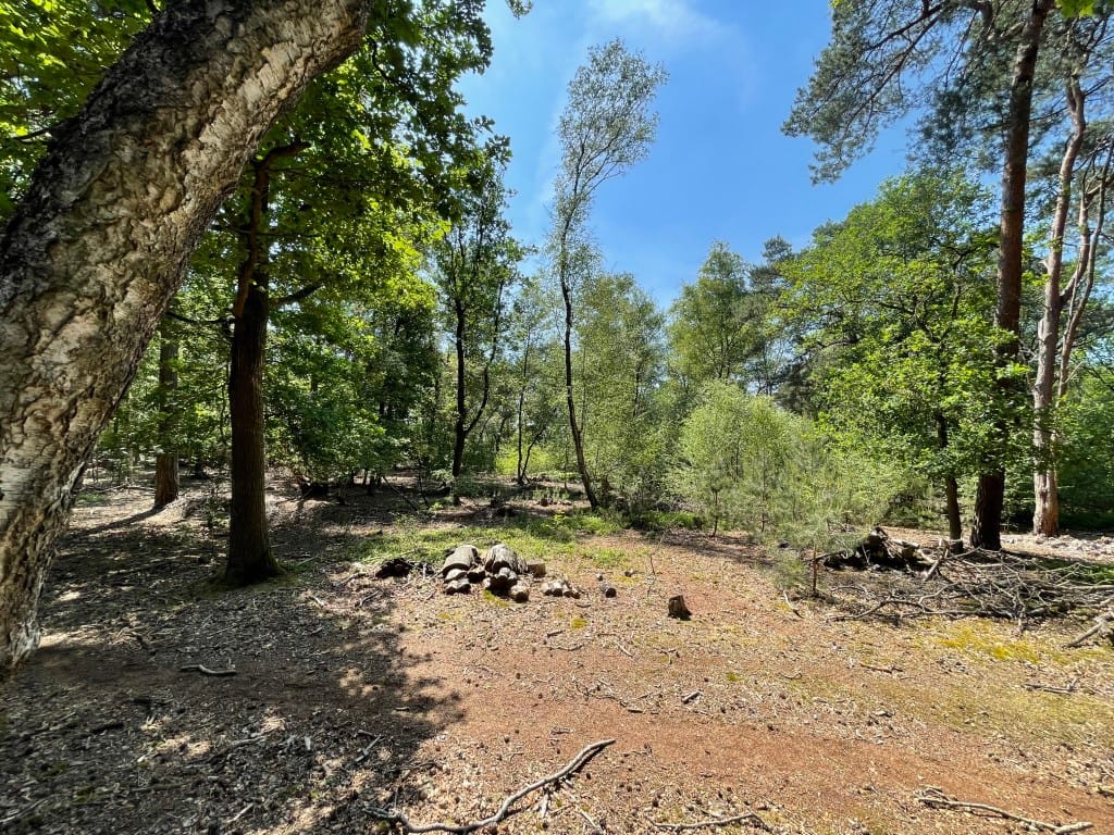 Foto 53 van Renheide 2