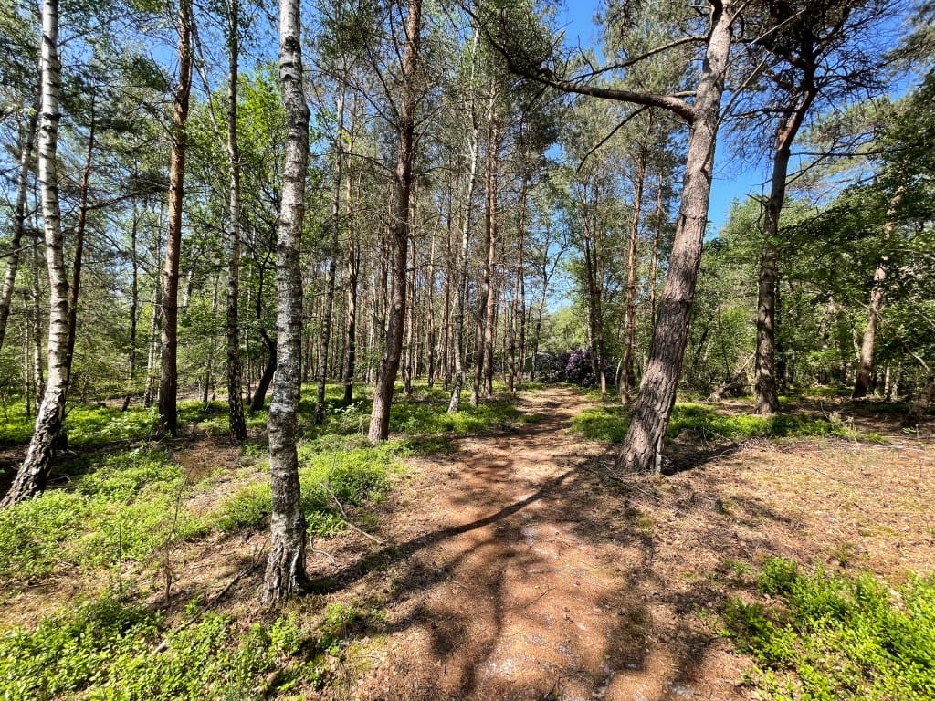 Foto 54 van Renheide 2