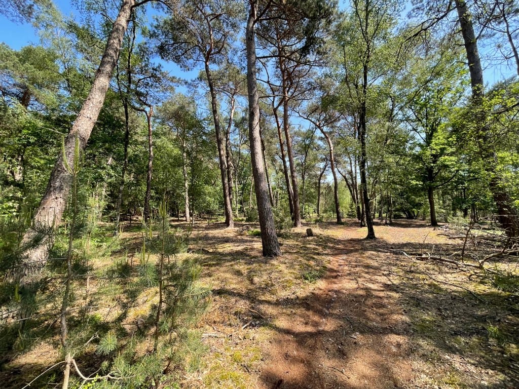 Foto 58 van Renheide 2